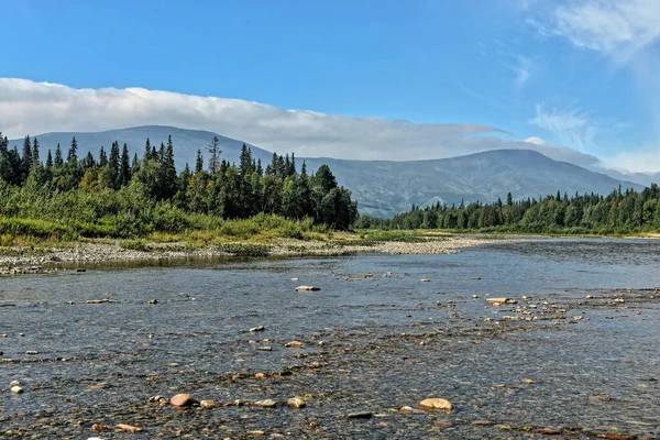 Unesco World Heritage Site Yugyd National Park Summer Landscape Shchugor — 스톡 사진