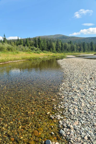 Unberührte Komi Wälder Unesco Weltkulturerbe Yugyd Nationalpark Sommerlandschaft Shchugor Fluss — Stockfoto