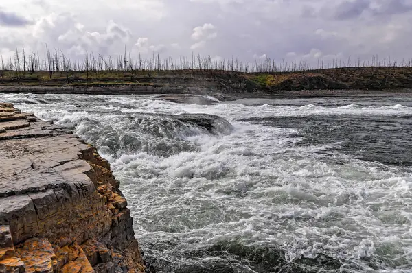 Швидкість Північній Річці Пейзаж Білою Водою Швидкості — стокове фото