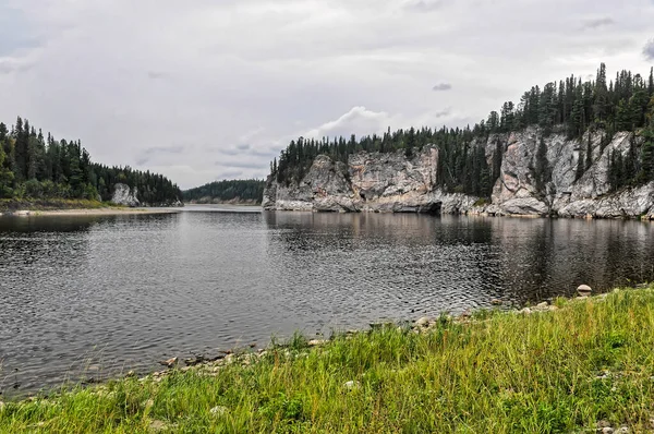 Szűz Komi Erdők Unesco Világörökség Része Yugyd Nemzeti Park Nyári — Stock Fotó