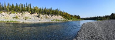 Kuzey Tayga nehrinin panoraması. Rusya 'nın kuzeyinde yaz suyu manzarası.