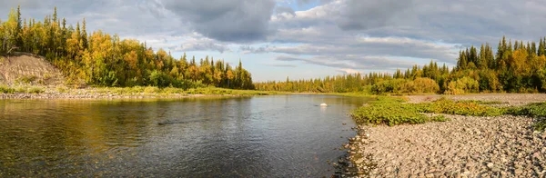 Panorama Northern Taiga River Summer Water Landscape North Russia — Stock Photo, Image