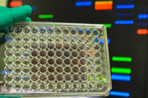 Investigação Científica Biológica Avanços Modernos Nas Ciências Biológicas — Fotografia de Stock