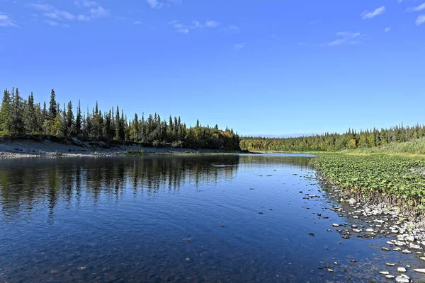 Nördliche Flusslandschaft Einem Sonnigen Sommertag Ein Fluss Den Virgin Komi — Stockfoto