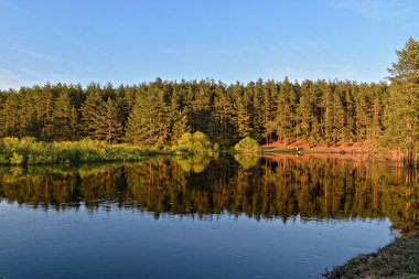 Rusya 'da bahar. River Pra Ulusal Parkı, Meschera, Ryazan Bölgesi.
