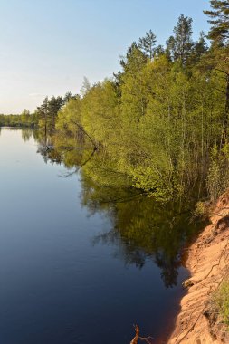 Rusya 'da bahar. River Pra Ulusal Parkı, Meschera, Ryazan Bölgesi.