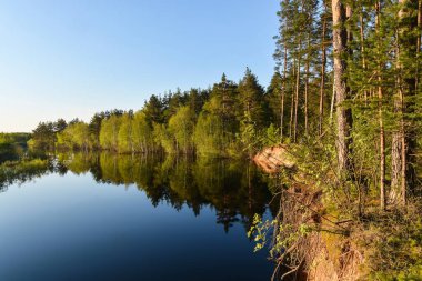 Rusya 'da bahar. River Pra Ulusal Parkı, Meschera, Ryazan Bölgesi.