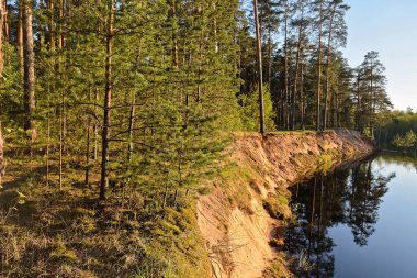 Rusya 'da bahar. River Pra Ulusal Parkı, Meschera, Ryazan Bölgesi.