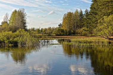 Orman nehrinde ilkbahar. Orta Rusya 'daki milli parkın manzarası.