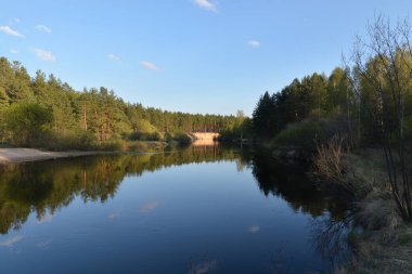 Orman nehrinde ilkbahar. Orta Rusya 'daki milli parkın manzarası.