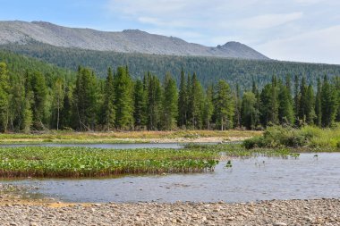 Kuzey Urallar 'da yaz. Ulusal Park 