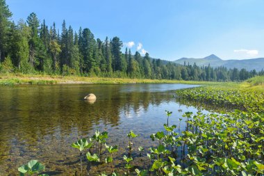 Kuzey Urallar 'da yaz. Ulusal Park 