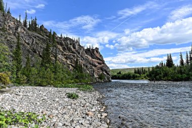 Güneşli bir yaz gününde kuzey nehri. Su manzarası, Komi Cumhuriyeti 'ndeki ulusal park, Rusya.