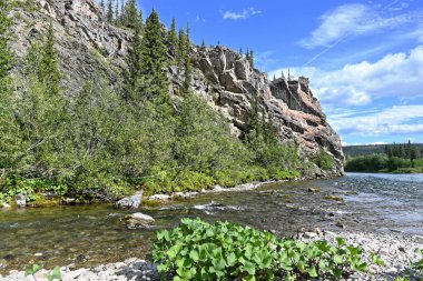 Güneşli bir yaz gününde kuzey nehri. Su manzarası, Komi Cumhuriyeti 'ndeki ulusal park, Rusya.