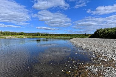 Güneşli bir yaz gününde kuzey nehri. Su manzarası, Komi Cumhuriyeti 'ndeki ulusal park, Rusya.