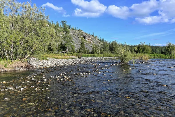 Rivière Nord Par Une Journée Ensoleillée Été Paysage Aquatique Parc — Photo