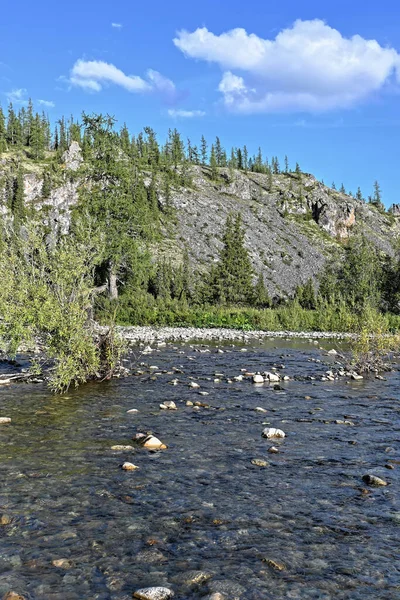 Rivière Nord Par Une Journée Ensoleillée Été Paysage Aquatique Parc — Photo