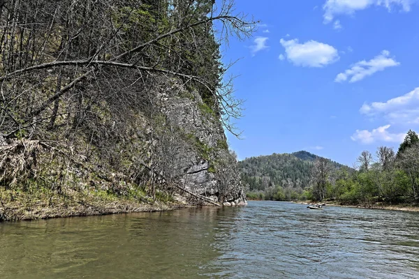 Klippor Vid Floden Zilim Våren Naturparken Zilim Republiken Bashkortostan Ryssland — Stockfoto