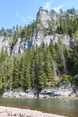 Zilim Nehri 'ndeki kayalıklar. Bashkortostan, Rusya 'daki Zilim Doğa Parkı.