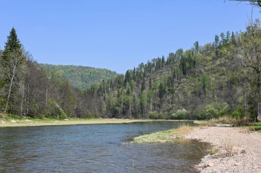 Doğa parkında bahar. Mayıs ayı başında su manzarası. Bashkortostan, Rusya 'daki Zilim Doğa Parkı