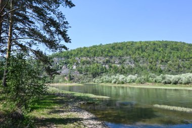 Doğa parkında bahar. Mayıs ayı başında su manzarası. Bashkortostan, Rusya 'daki Zilim Doğa Parkı