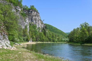 Doğa parkında bahar. Mayıs ayı başında su manzarası. Bashkortostan, Rusya 'daki Zilim Doğa Parkı