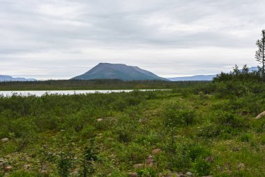 Putorana yaylası. Glubokoe Gölü 'ndeki Dağ Sandığı. Rusya 'daki Krasnoyarsk Bölgesi' nin kuzeyindeki su manzarası.