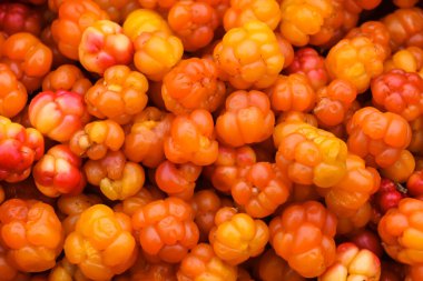 Olgun dutlu arka plan. Sulu, vahşi kuzey meyvesi.