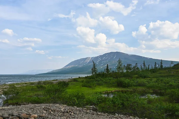 Putorana Yaylası Glubokoe Gölü Ndeki Dağ Sandığı Rusya Daki Krasnoyarsk — Stok fotoğraf