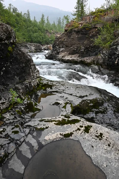 Grayling Creek Putorana Plateau Mountain Stream Cloudy Day — Stock Photo, Image