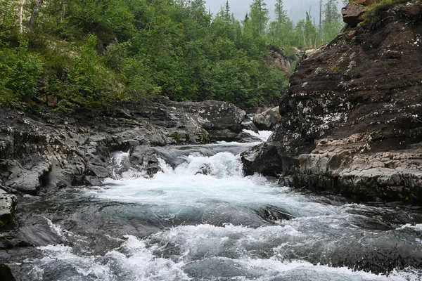 Grayling Creek Putorana Fennsíkon Hegyi Patak Egy Felhős Napon — Stock Fotó