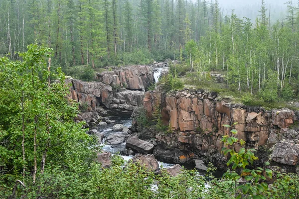 Grayling Creek Putorana Plateau Mountain Stream Cloudy Day — Stock Photo, Image