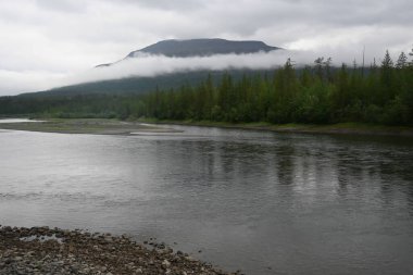 Putorana Platosu 'ndaki Muksun Nehri. Doğu Sibirya 'nın kuzeyindeki nehir yazı manzarası.