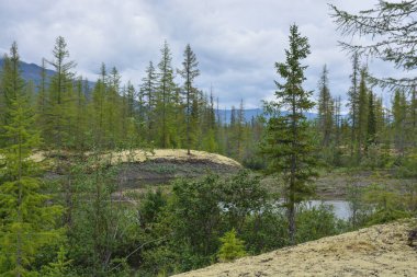 Putorana Platosu 'ndaki Muksun Nehri. Doğu Sibirya 'nın kuzeyindeki nehir yazı manzarası.