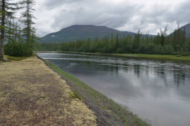 Putorana Platosu 'ndaki Muksun Nehri. Doğu Sibirya 'nın kuzeyindeki nehir yazı manzarası.