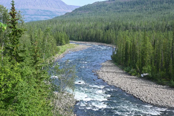 Naktafloden Putorana Platån Bergsflod Norra Sibirien — Stockfoto