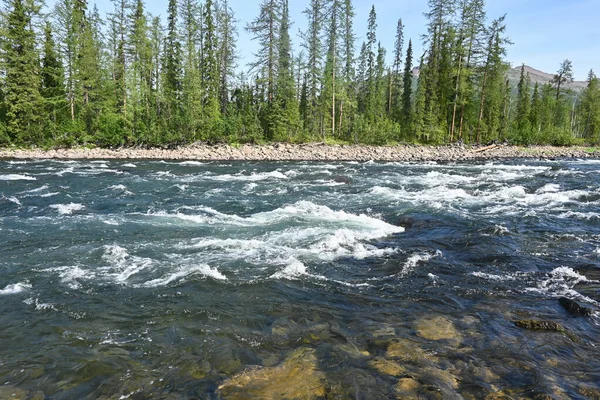 Rzeka Nakta Płaskowyżu Putorana Górska Rzeka Północy Syberii Wschodniej — Zdjęcie stockowe