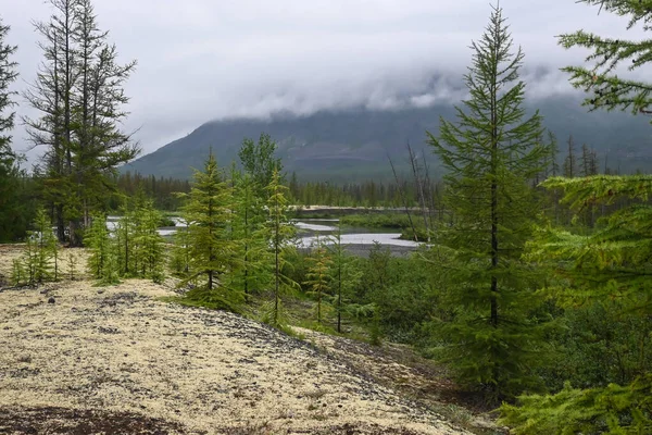 Muksun River Putorana Plateau River Summer Landscape North Eastern Siberia — Stock Photo, Image