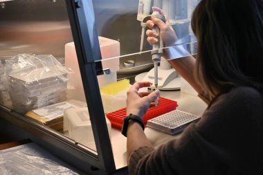 İş yeri, laminar akış kutusu. PCR reaksiyonu için örnek hazırlama.