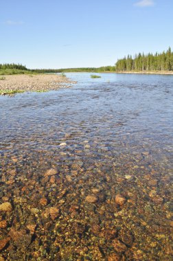 Çakıl nehir yatak. 