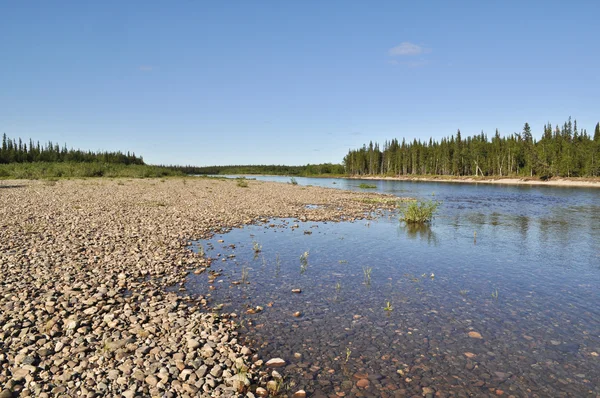 Lit de rivière de galets . — Photo