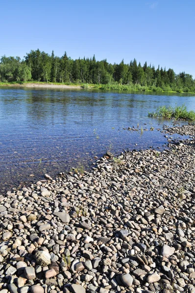 Pebble flodbädden. — Stockfoto