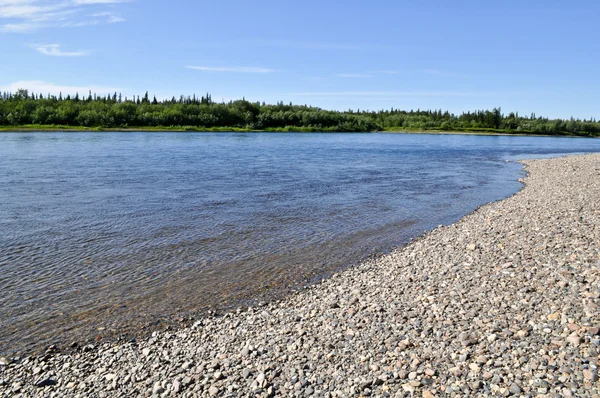 Playa de guijarros al norte del río . — Foto de Stock