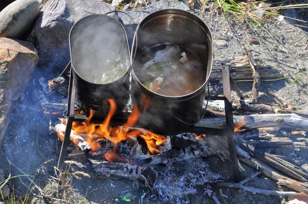 Cooking fish on the fire. — Stock Photo, Image