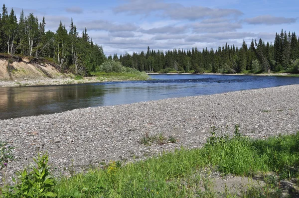 Landscape of the Northern boreal river. — Stock Photo, Image