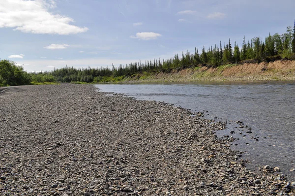 Paisaje del río Boreal Norte . —  Fotos de Stock