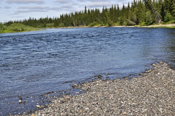 Paysage de la rivière boréale Nord . — Photo