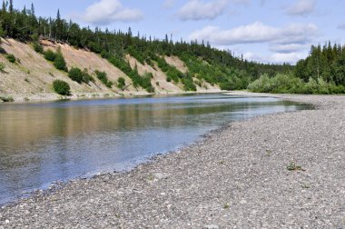polar Urallar vadisinde. 