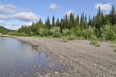 ural Nehri kuzeyinde taşlı shore. 