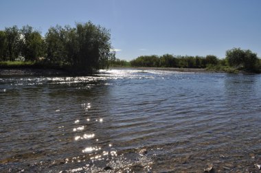 ural Nehri kuzeyinde taşlı shore. 